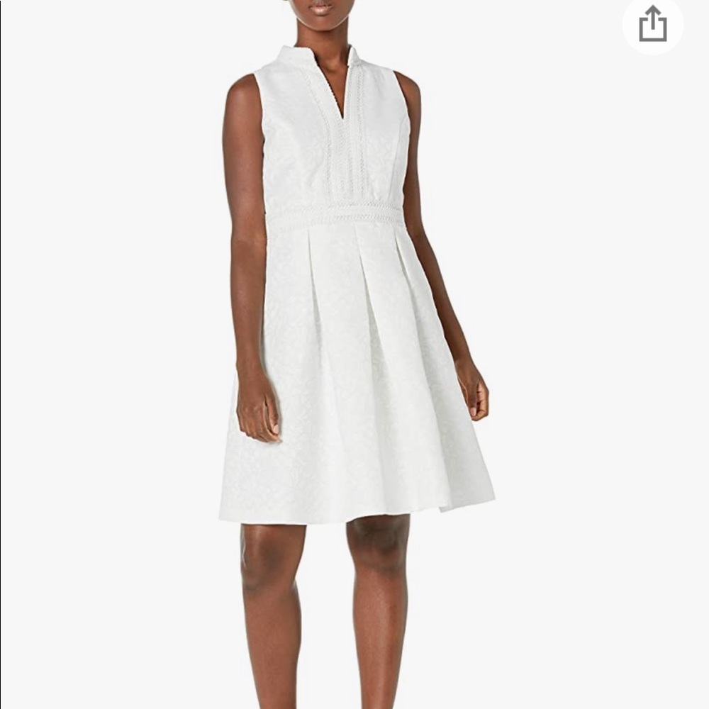 NWT Pappagallo pleated skirt dress